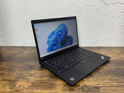 Lenovo ThinkPad T495 — фото 2