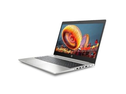 HP ProBook 455 G6
